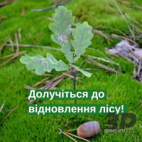 запрошуємо долучитися 20 березня до відновлення лісу разом з НПП «Гуцульщина»