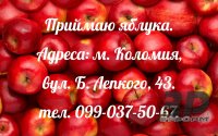 Приймаю яблука. Адреса: м. Коломия, вул. Б. Лепкого, 43