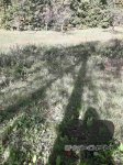 Продється земельна ділянка площею 0,27 га в центрі с. Шешори (біля дороги)