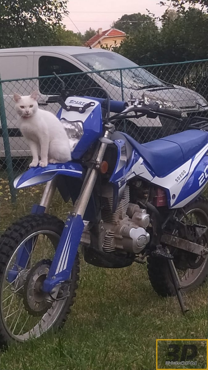 Продам мотоцикл, Sparta SD200